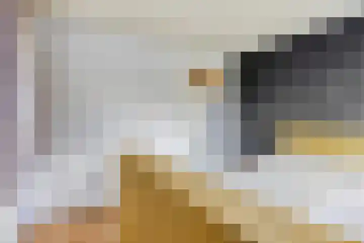 Koppelstraat 2 Putte thumbnail 29