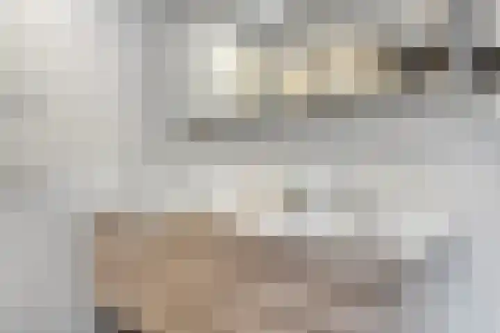 Koppelstraat 2 Putte thumbnail 33
