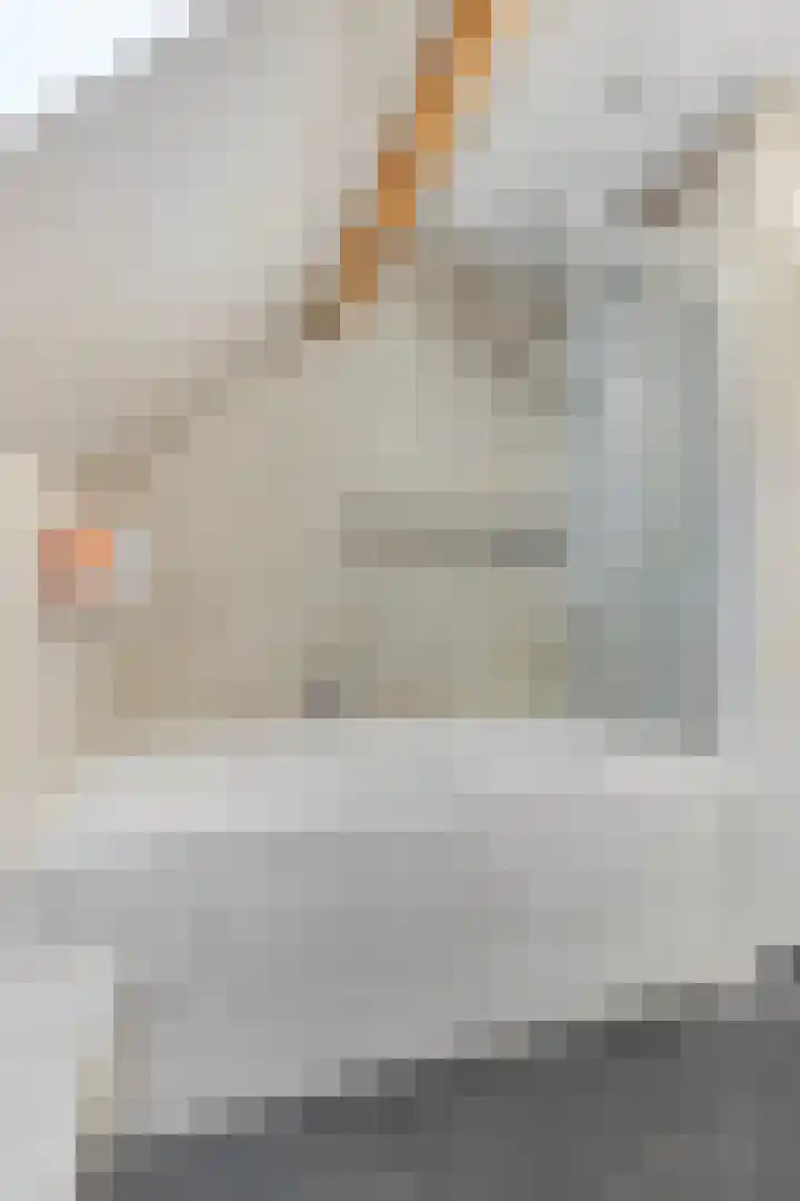 Koppelstraat 2 Putte thumbnail 35