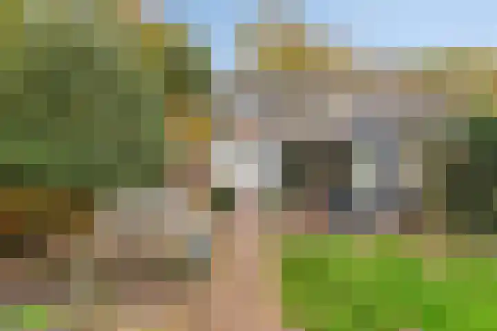 Koppelstraat 2 Putte thumbnail 4