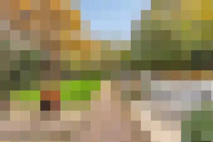 Koppelstraat 2 Putte thumbnail 45