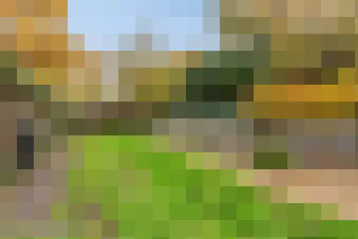 Koppelstraat 2 Putte thumbnail 46