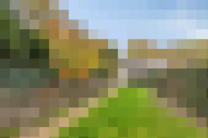 Koppelstraat 2 Putte thumbnail 47