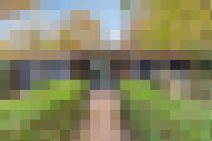 Koppelstraat 2 Putte thumbnail 50
