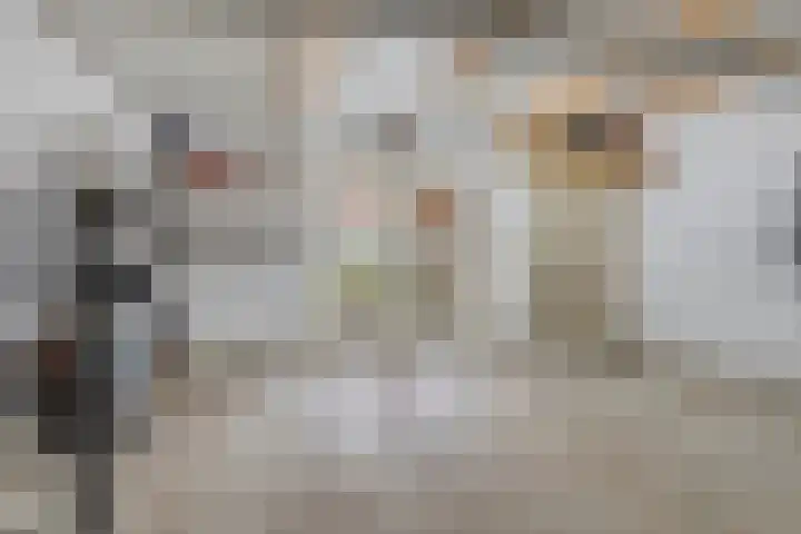 Koppelstraat 2 Putte thumbnail 51