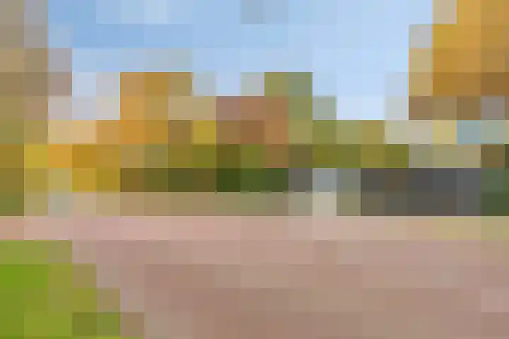 Koppelstraat 2 Putte thumbnail 53