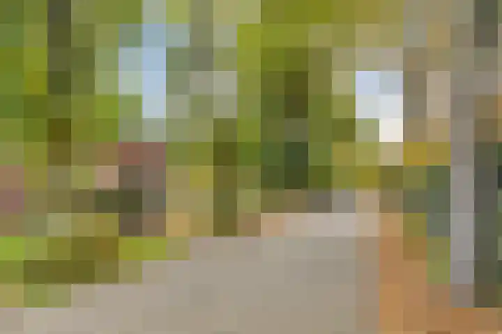 Koppelstraat 2 Putte thumbnail 57