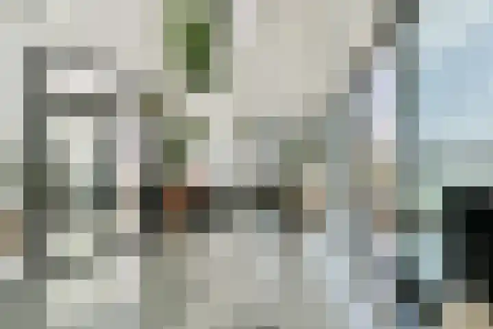 Koppelstraat 2 Putte thumbnail 6