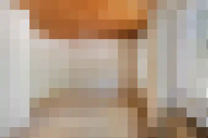 Koppelstraat 38 Beek en Donk thumbnail 17