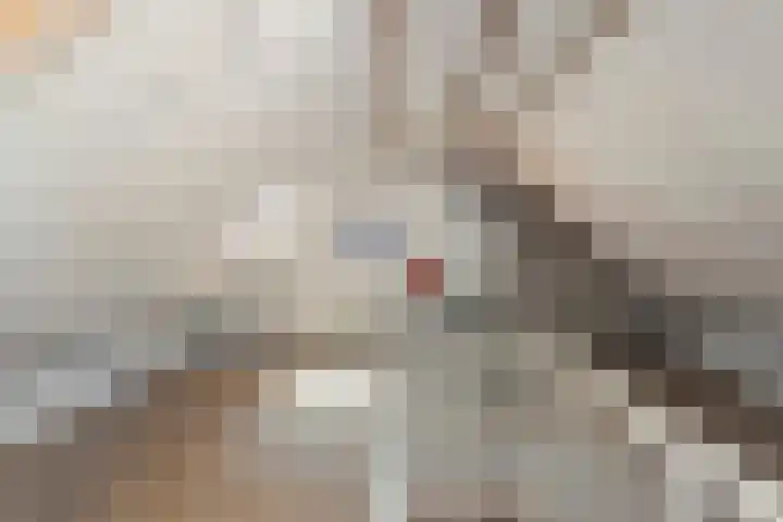 Koppelstraat 38 Beek en Donk thumbnail 27