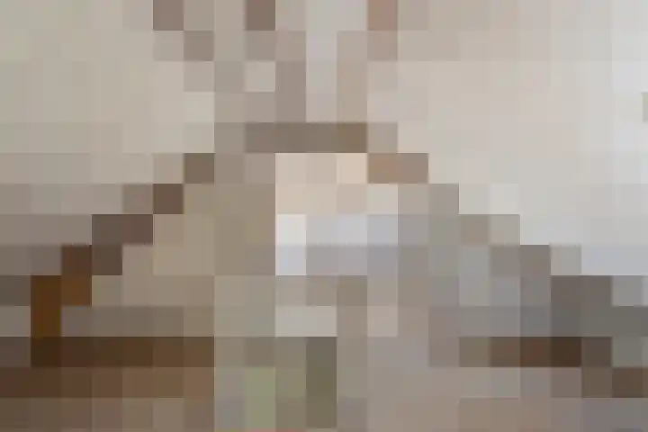 Koppelstraat 38 Beek en Donk thumbnail 28