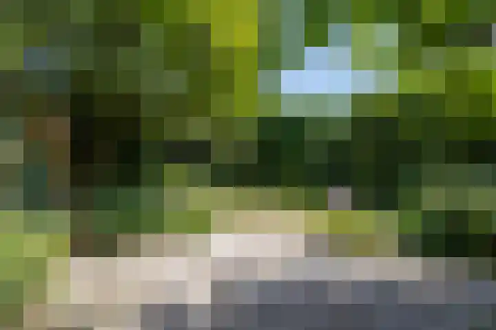Koppelstraat 38 Beek en Donk thumbnail 29
