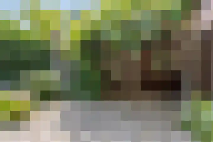 Koppelstraat 38 Beek en Donk thumbnail 30