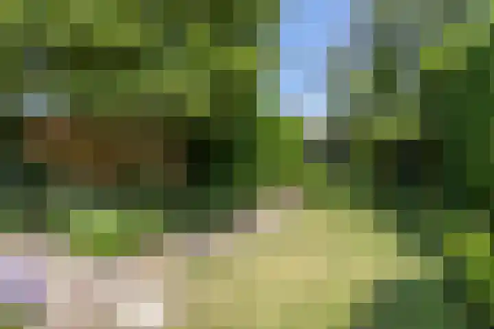 Koppelstraat 38 Beek en Donk thumbnail 31