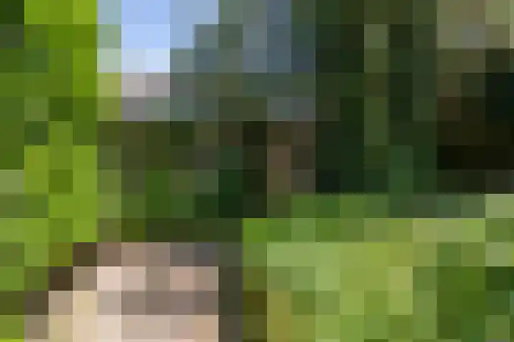 Koppelstraat 38 Beek en Donk thumbnail 33