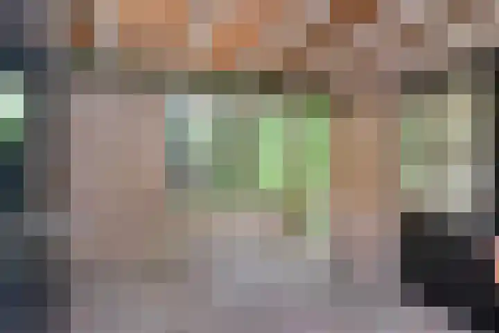 Koppelstraat 38 Beek en Donk thumbnail 34