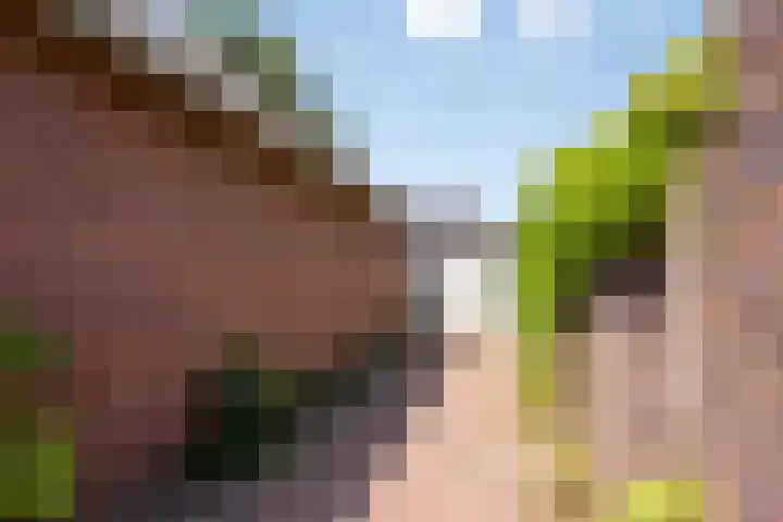 Koppelstraat 38 Beek en Donk thumbnail 35