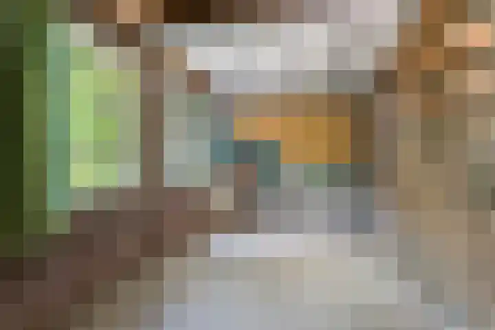 Koppelstraat 38 Beek en Donk thumbnail 36
