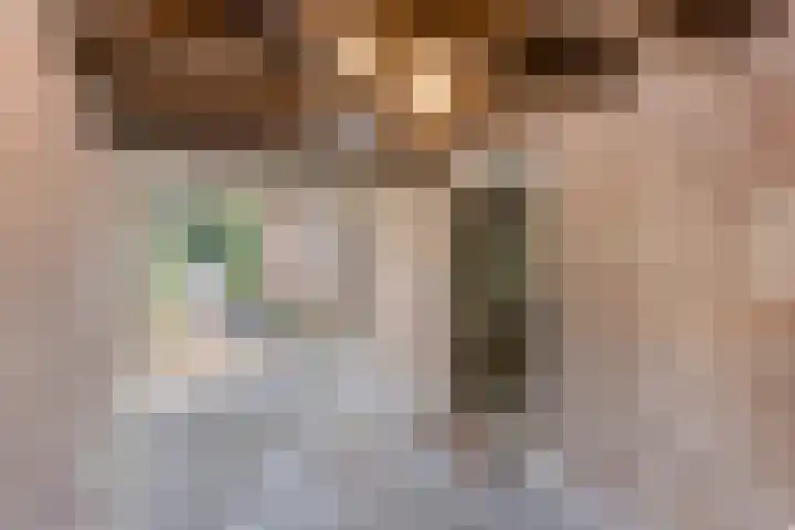 Koppelstraat 38 Beek en Donk thumbnail 38