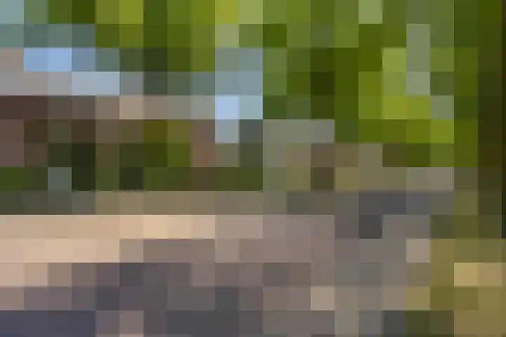 Koppelstraat 38 Beek en Donk thumbnail 39