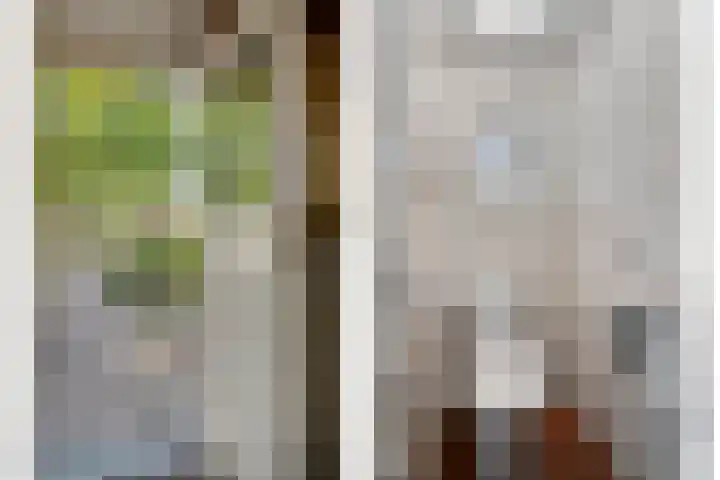 Koppelstraat 38 Beek en Donk thumbnail 4