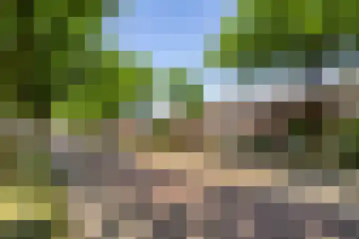 Koppelstraat 38 Beek en Donk thumbnail 40