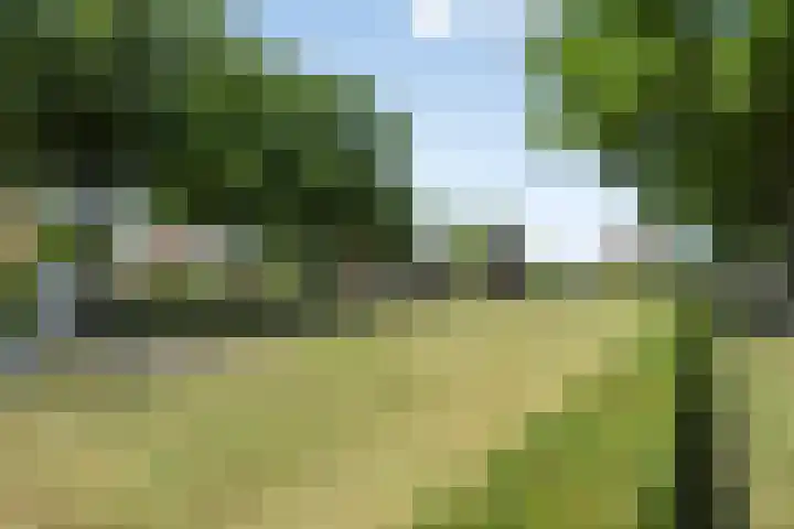 Koppelstraat 38 Beek en Donk thumbnail 41