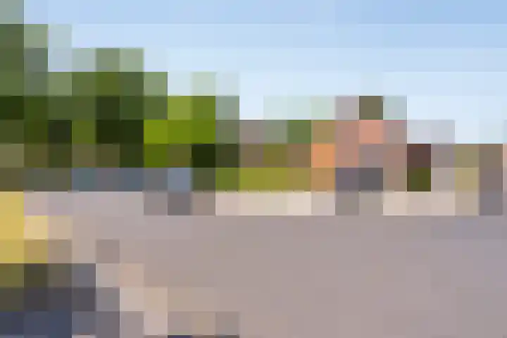 Koppelstraat 38 Beek en Donk thumbnail 42