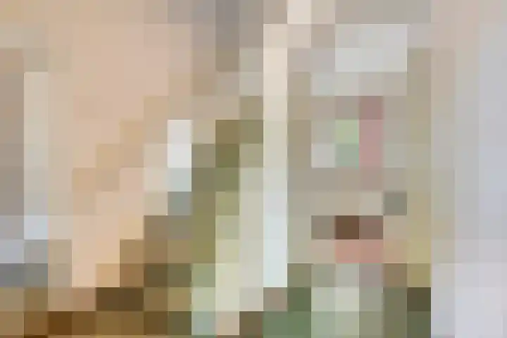 Koppelstraat 38 Beek en Donk thumbnail 5
