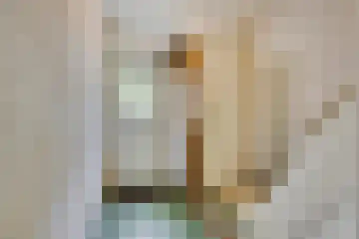 Koppelstraat 38 Beek en Donk thumbnail 6