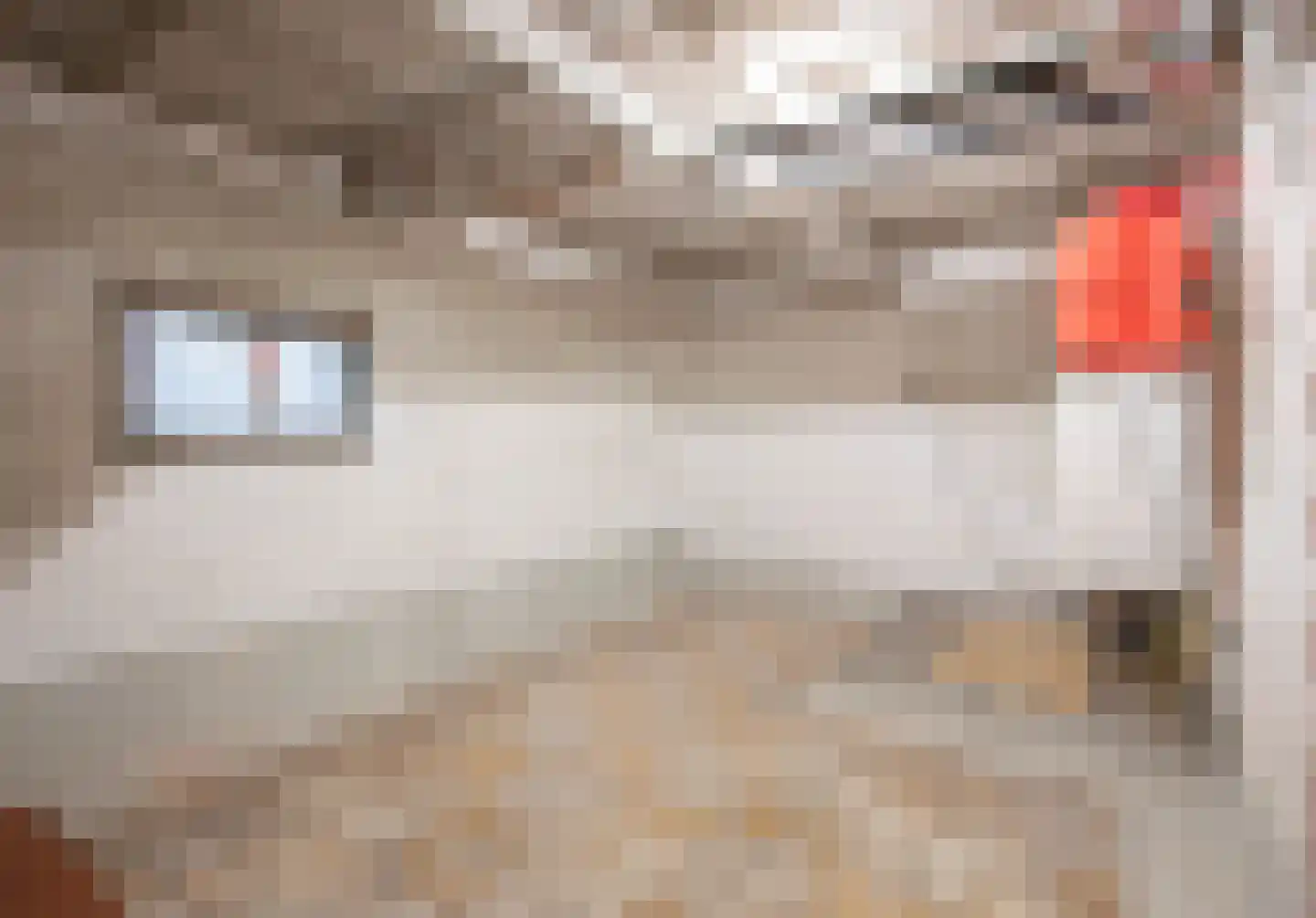 Koppelstraat 5 Heythuysen thumbnail 30