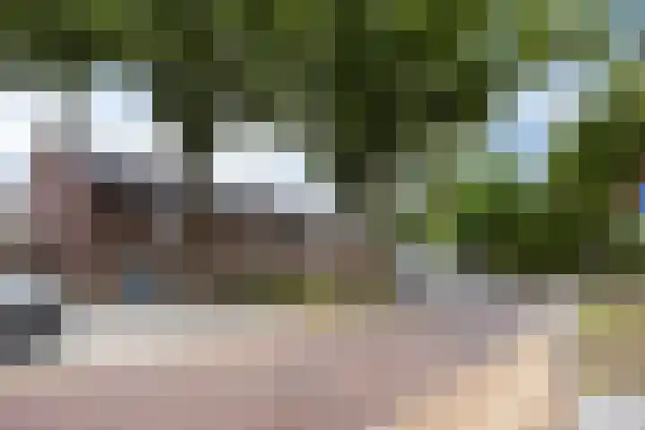 Koppelstraat 58 Beek en Donk thumbnail 11