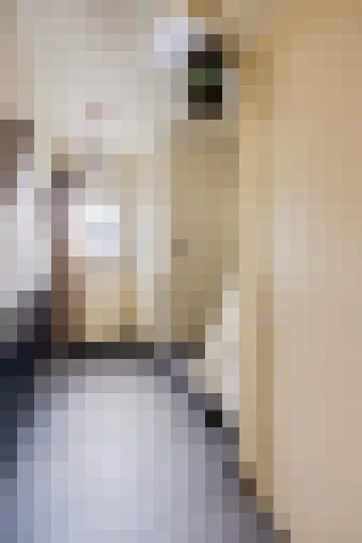 Koppelstraat 58 Beek en Donk thumbnail 13