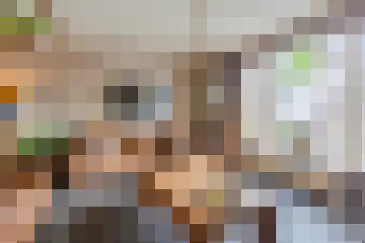 Koppelstraat 58 Beek en Donk thumbnail 15