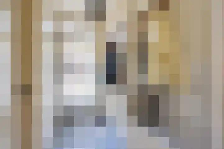 Koppelstraat 58 Beek en Donk thumbnail 23
