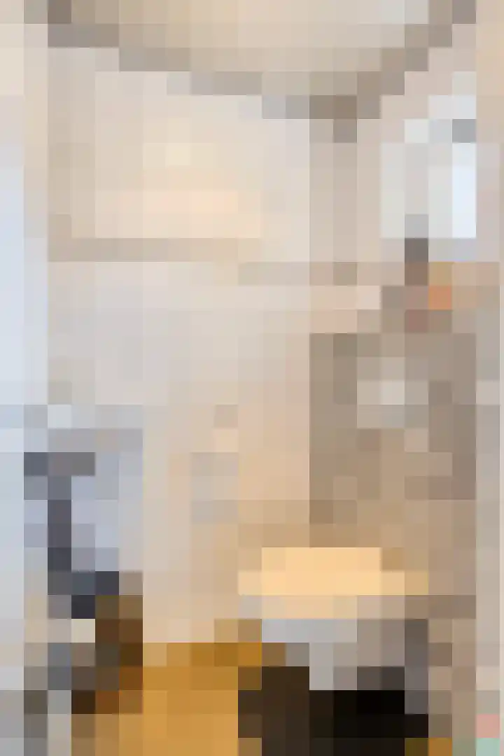 Koppelstraat 58 Beek en Donk thumbnail 24