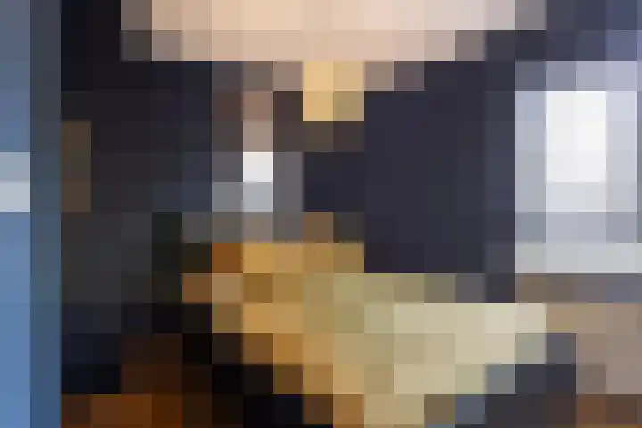 Koppelstraat 58 Beek en Donk thumbnail 27