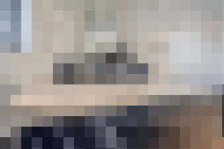 Koppelstraat 58 Beek en Donk thumbnail 32
