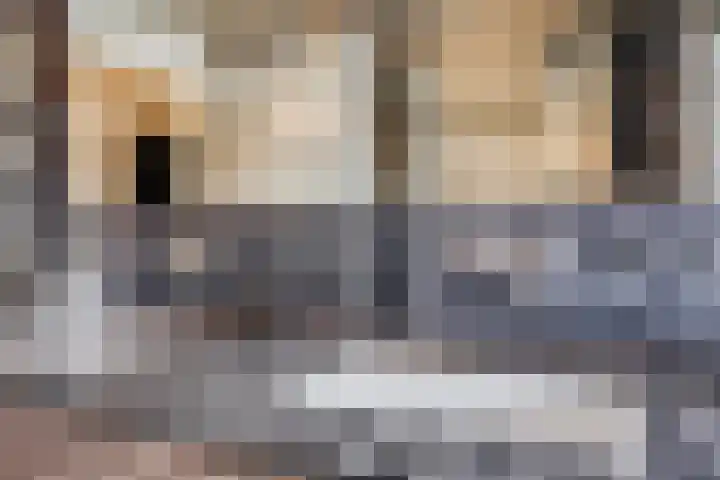 Koppelstraat 58 Beek en Donk thumbnail 34