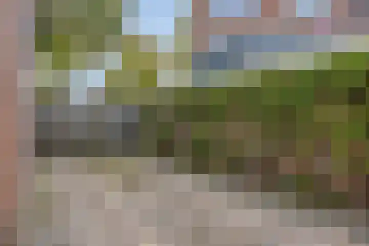 Koppelstraat 58 Beek en Donk thumbnail 37