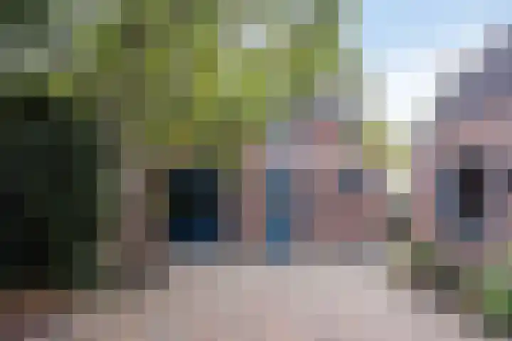 Koppelstraat 58 Beek en Donk thumbnail 40