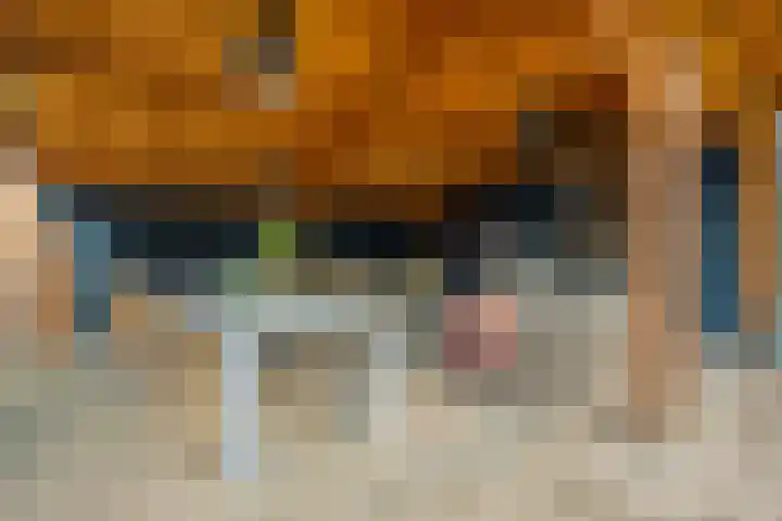 Koppelstraat 58 Beek en Donk thumbnail 42