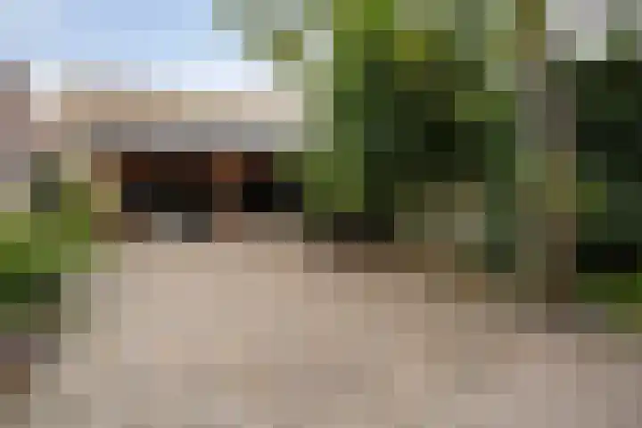Koppelstraat 58 Beek en Donk thumbnail 44
