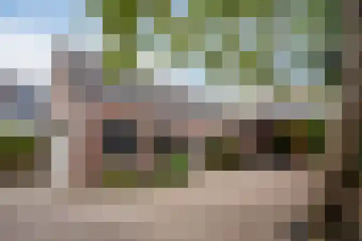 Koppelstraat 58 Beek en Donk thumbnail 45