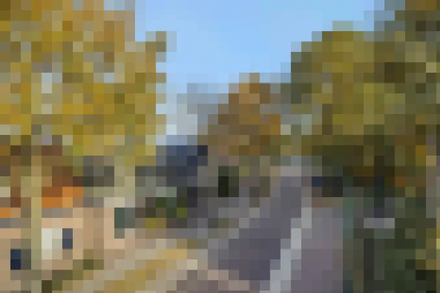 Koppelstraat 7 Beek en Donk thumbnail 12