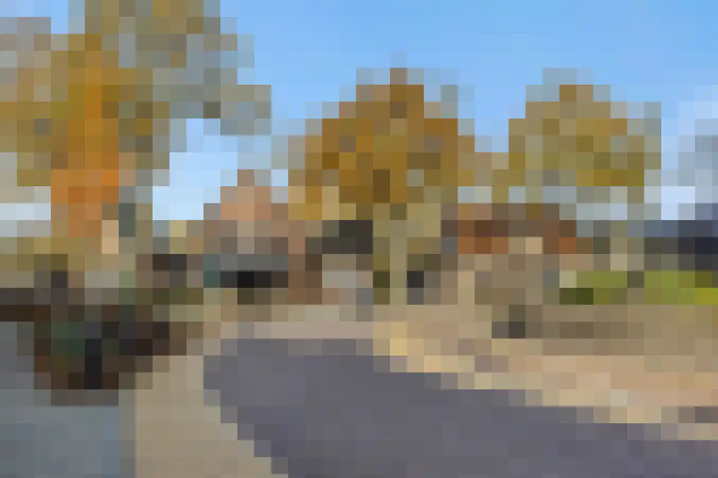 Koppelstraat 7 Beek en Donk thumbnail 13
