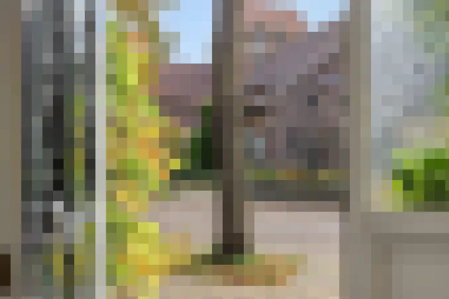 Koppelstraat 7 Beek en Donk thumbnail 17