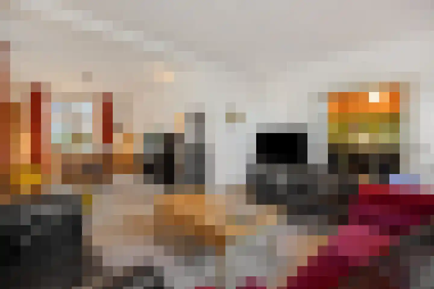 Koppelstraat 7 Beek en Donk thumbnail 23