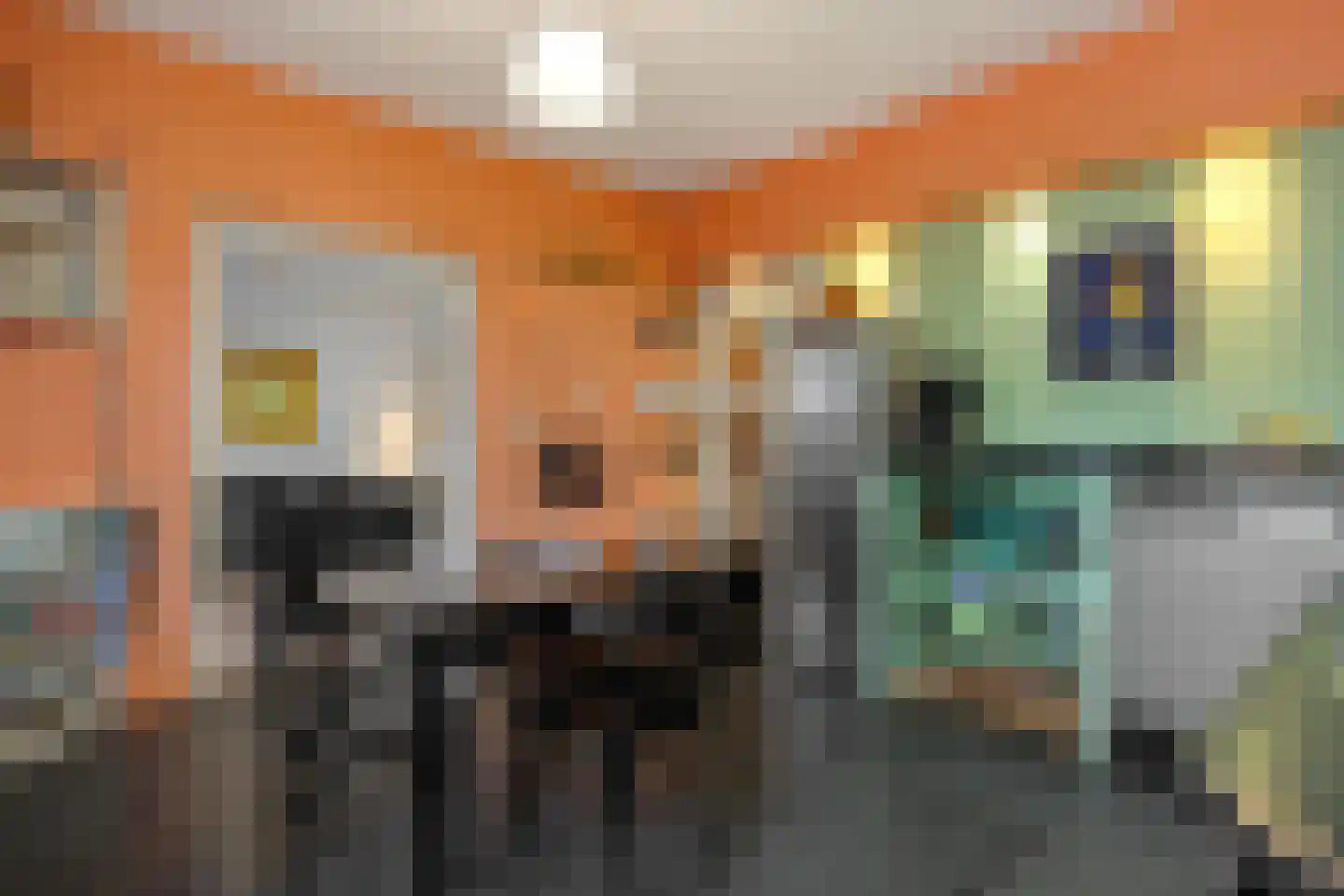 Koppelstraat 7 Beek en Donk thumbnail 29