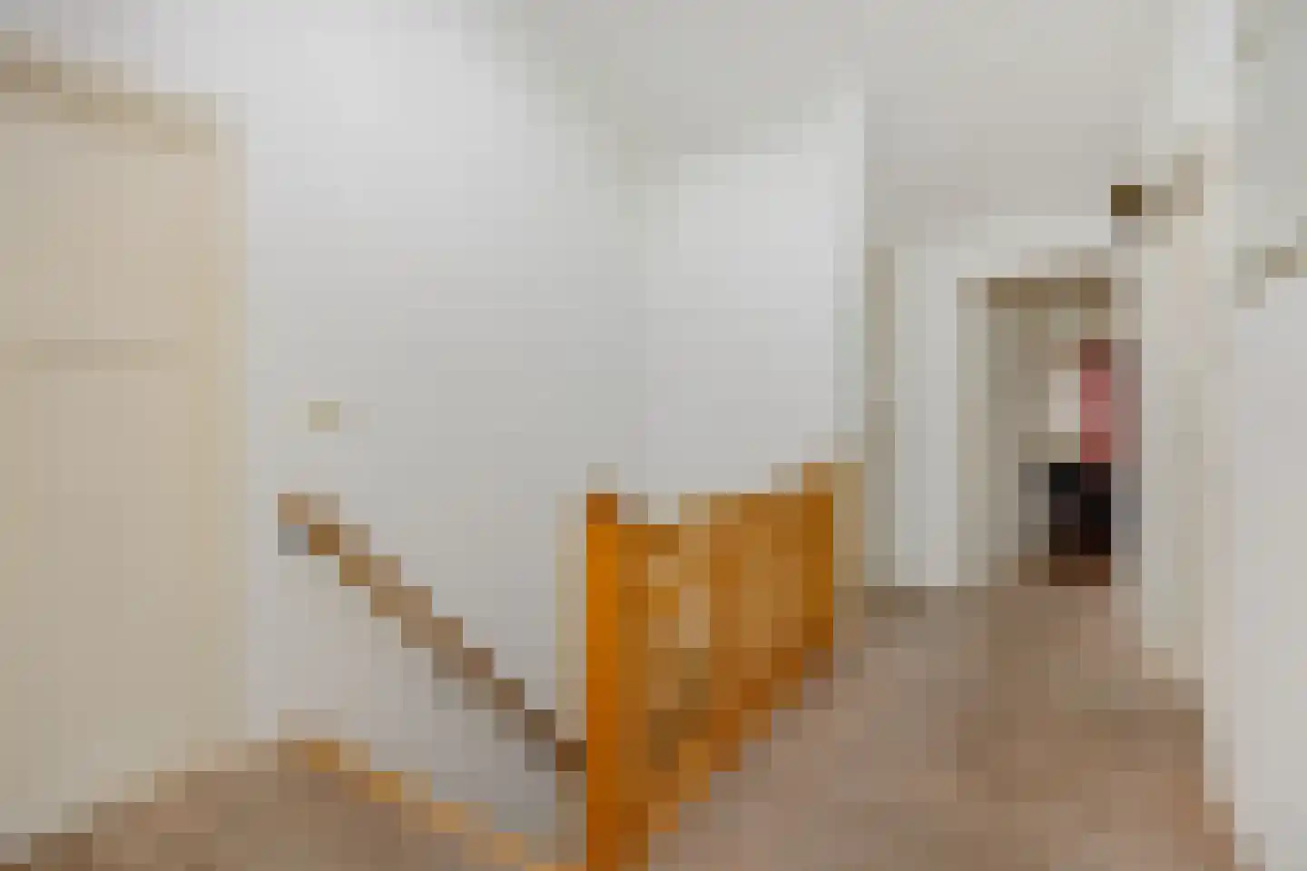 Koppelstraat 7 Beek en Donk thumbnail 43